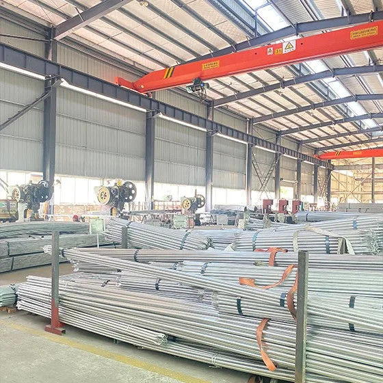 China Sichuan Xinglong Excellence Development Science and Technology Co., Ltd. company profile