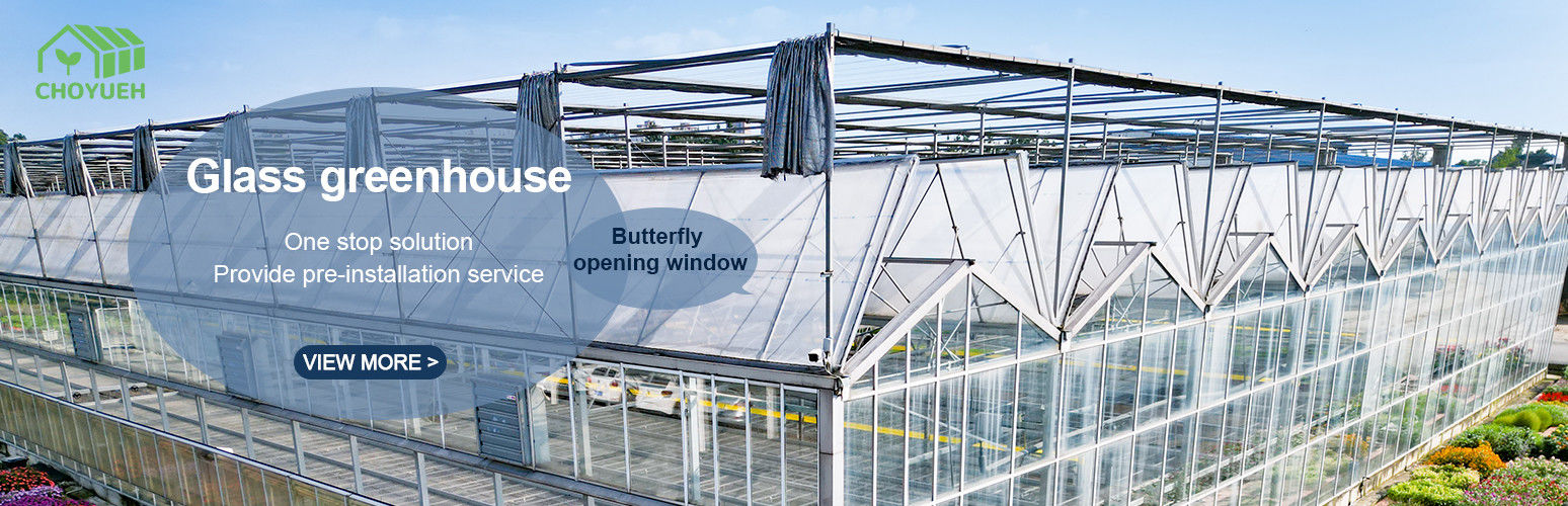 Plastic Film Greenhouse