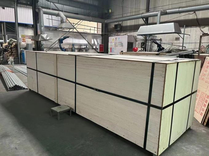 Single Span Tunnel Plastic Film Agricultural Greenhouse High Disaster Resistance 5