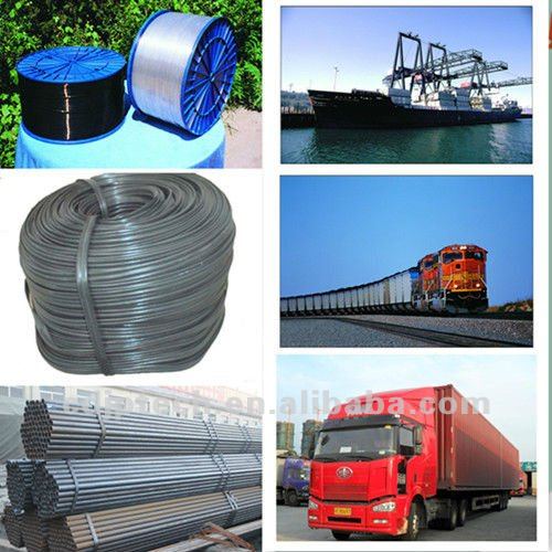 Single Span Tunnel Plastic Film Agricultural Greenhouse High Disaster Resistance 6