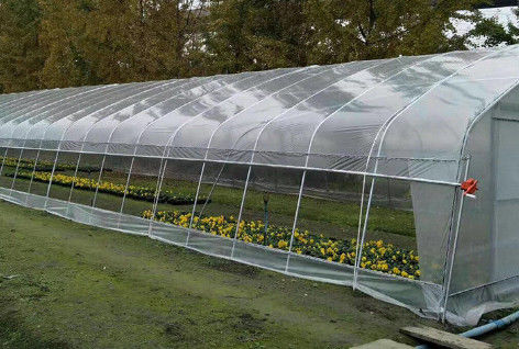 Rainfall 150mm/H Tunnel Greenhouse With Mechanical Ventilation Optional Cooling System