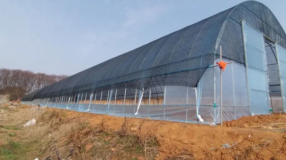 Rainfall 150mm/H Tunnel Greenhouse With Mechanical Ventilation Optional Cooling System