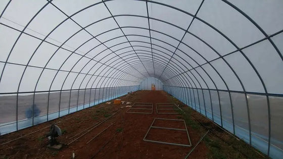 Light Transmittance 90% Tunnel Greenhouse Vegetable Farming With Galvanized Steel Frame