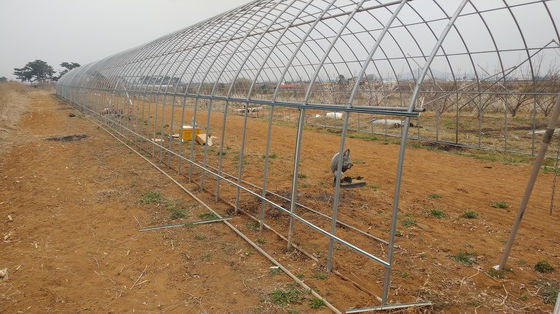 Four Seasons Plastic Film Greenhouse For Temperature Variations Anti Aging UV Resistant