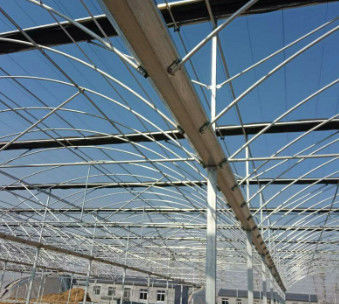 Wind Resistance Multi Span Plastic Film Tunnel Greenhouse With Ventilation System