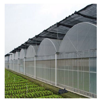 Wind Resistance Multi Span Plastic Film Tunnel Greenhouse With Ventilation System