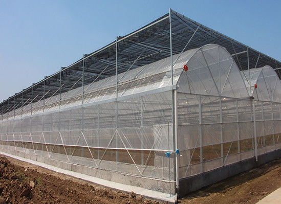 Wind Resistance Multi Span Plastic Film Tunnel Greenhouse With Ventilation System