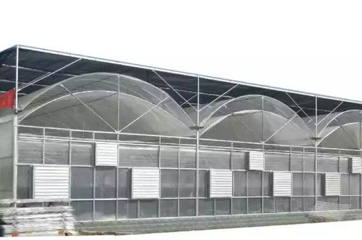 Double Layer PE Film Multi Span Film Greenhouse With Hydroponic System