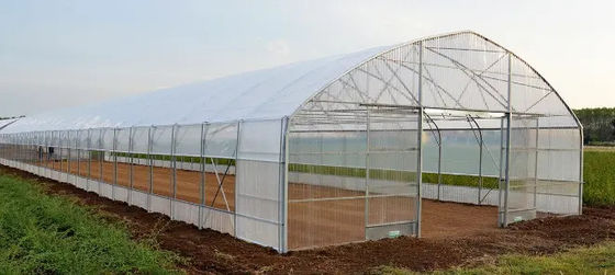 Plastic Film Tunnel Greenhouse Resists Corrosion Sharp Arch Gothic Greenhouse