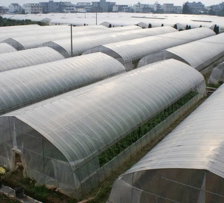 Plastic Film Tunnel Greenhouse Resists Corrosion Sharp Arch Gothic Greenhouse