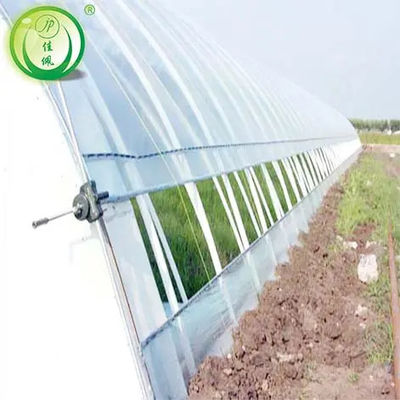Plastic Film Tunnel Greenhouse Resists Corrosion Sharp Arch Gothic Greenhouse