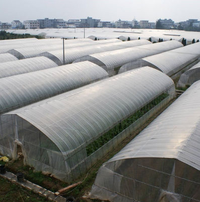 Aluminum Alloy Tomato Farming Tunnel Greenhouse 8*30m Anodizing