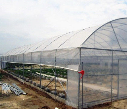 Aluminum Alloy Tomato Farming Tunnel Greenhouse 8*30m Anodizing