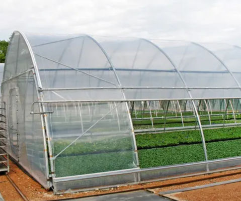 Aluminum Alloy Tomato Farming Tunnel Greenhouse 8*30m Anodizing