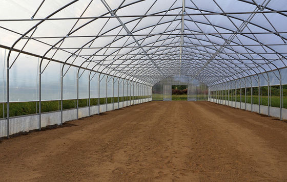 Aluminum Alloy Tomato Farming Tunnel Greenhouse 8*30m Anodizing