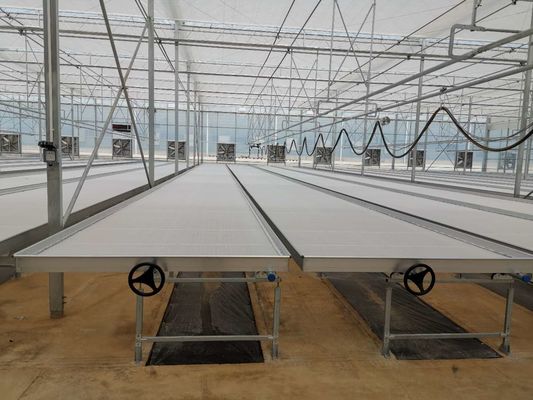 ABS Ebb And Flow Tray Greenhouse Benches Length 8ft 10ft 12ft Customized