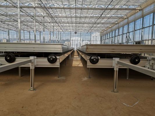 ABS Greenhouse Benches 4x8FT Rolling Benches For Growing
