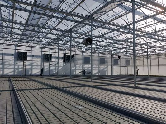 ABS Ebb And Flow Tray Greenhouse Benches Length 8ft 10ft 12ft Customized