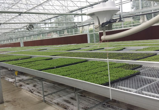 Agricultural 4*8ft ABS Plastic Hydroponic Flood Tray Growing Racks