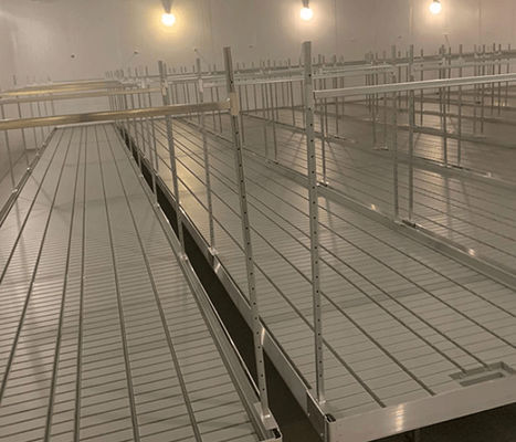 Span Width 9.6m 10.8m 12m Tunnel Greenhouse For Agriculture