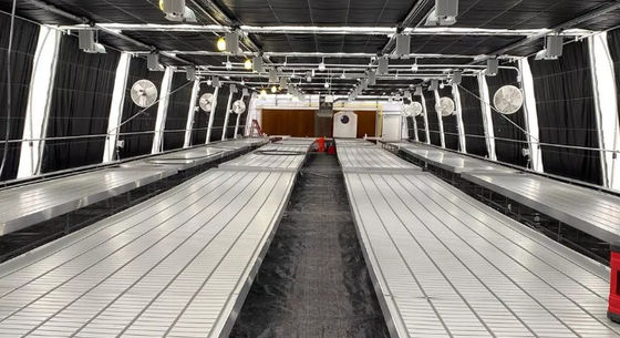 ABS Ebb And Flow Tray Greenhouse Benches Length 8ft 10ft 12ft Customized