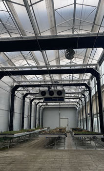 Irrigation Light Deprivation Greenhouse with Complete Blackout and Automatic System