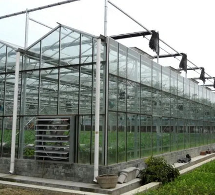 Hot Dip Galvanized Structure Glass Venlo Agricultural Greenhouse Weather Resistance