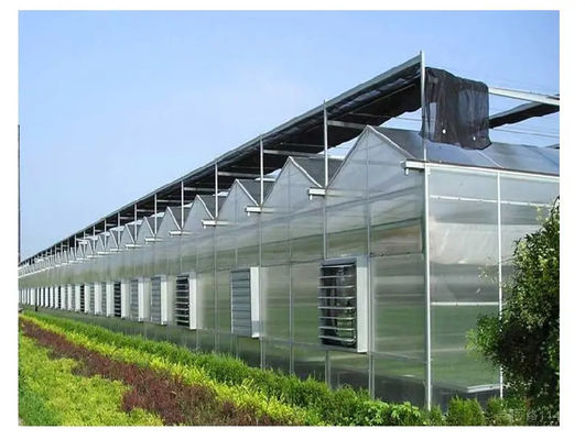OEM ODM Metal And Glass Greenhouse Temperature Resistance