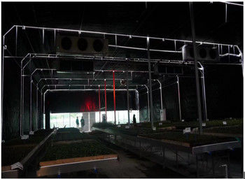 Advanced Technology Light Deprived Greenhouse for Pest Control