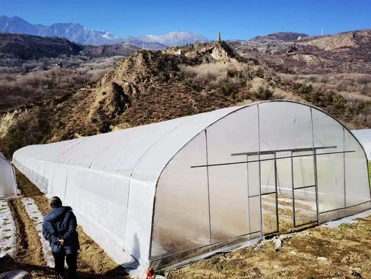 Sides Ventilation Plastic Tomato Greenhouse Resists Corrosion