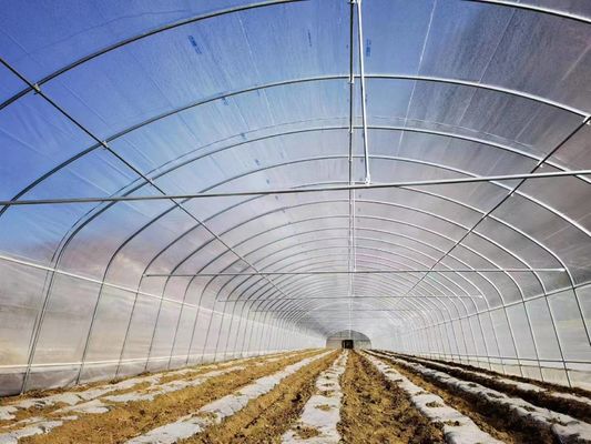 Sides Ventilation Plastic Tomato Greenhouse Resists Corrosion