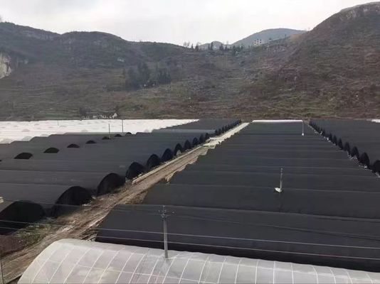 Sides Ventilation Plastic Tomato Greenhouse Resists Corrosion