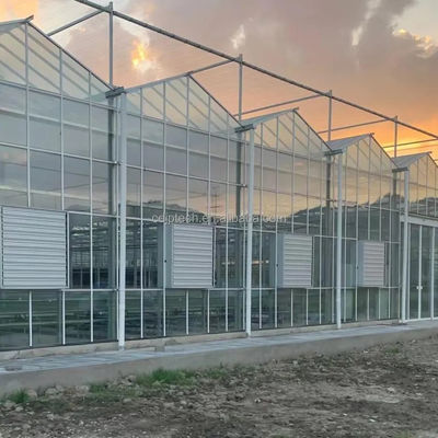 Rectangular Glass Enclosed Tomato Plant Greenhouse With Wind Resistance