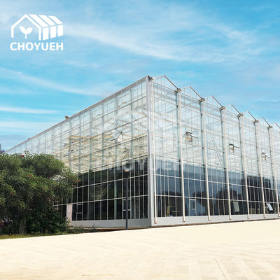 Temperature Resistance Glass Greenhouse For Agricultural Applications