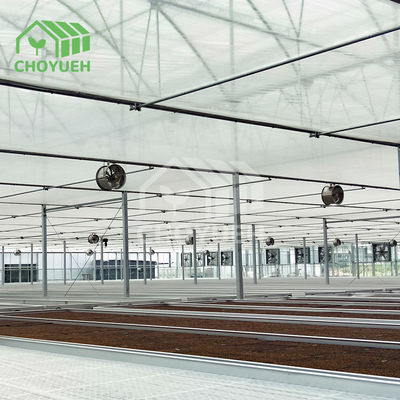 Commercial Plastic Film Greenhouse Vegetable Farming With Ventilation System