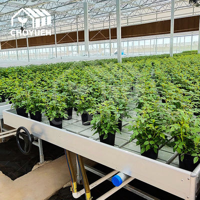 Flood Trays Greenhouse Benches Plastic Hydroponic Table Width 1.22m 1.55m 1.7m