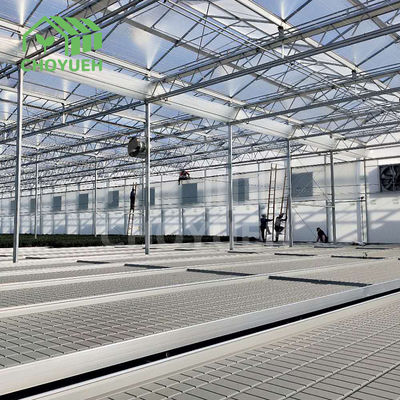Hydroponics Greenhouse Benches Ebb And Flow Flood Table 1.22x2.44m