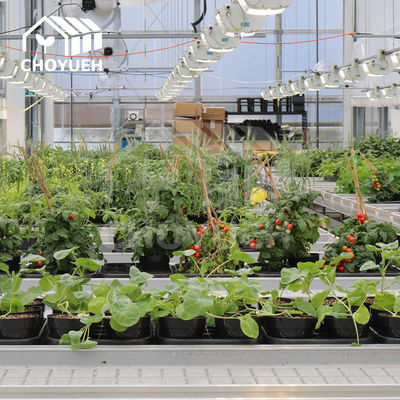 Hydroponics Greenhouse Benches Ebb And Flow Flood Table 1.22x2.44m