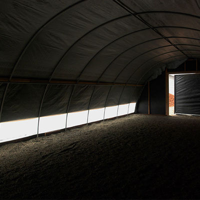 Maximize Plant Growth with Automatic Temperature Control Light Deprivation Greenhouse