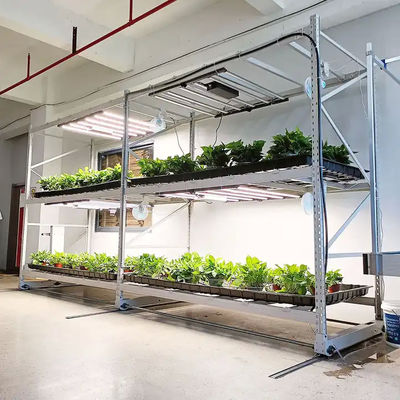 Hydroponic Stackable 4x8 Ebb And Flow Table For Agricultural