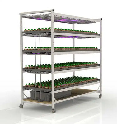 Static / Mobile Hydroponic Ebb And Flow Tables 4*8ft 4*16ft 4*24ft
