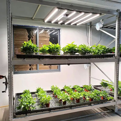 Hydroponic Stackable 4x8 Ebb And Flow Table For Agricultural