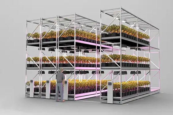 Static / Mobile Hydroponic Ebb And Flow Tables 4*8ft 4*16ft 4*24ft