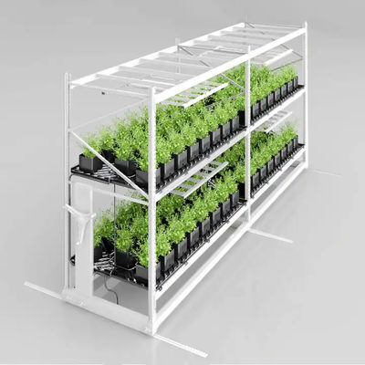 Construction Irrigation Holding Stands Intelligent Home Hydroponic Lettuce Aquaphonics Growing System