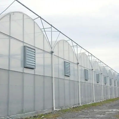 Wind Resistance Multi Span Plastic Film Tunnel Greenhouse With Ventilation System
