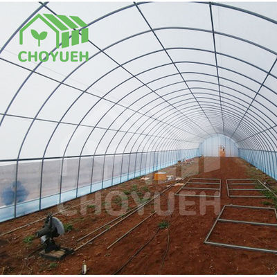 Plastic Film Tunnel Greenhouse Kit Width 6m 8m 9m For Growing Vegetables Flowers Fruits