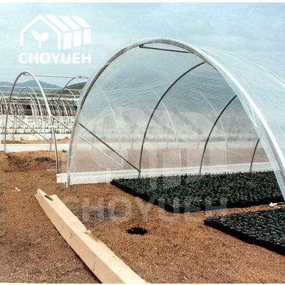 Plastic Film Tunnel Greenhouse Kit Width 6m 8m 9m For Growing Vegetables Flowers Fruits