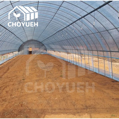 Plastic Film Tunnel Greenhouse Kit Width 6m 8m 9m For Growing Vegetables Flowers Fruits