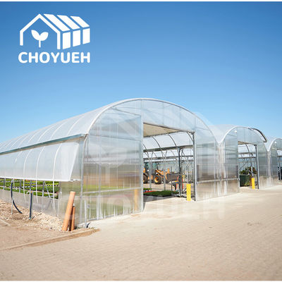 Single Span Tunnel Greenhouse Thickness 12/15/18/20 Microns