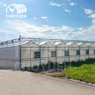 Wind Resistance Multi Span Film Greenhouse With Ventilation System
